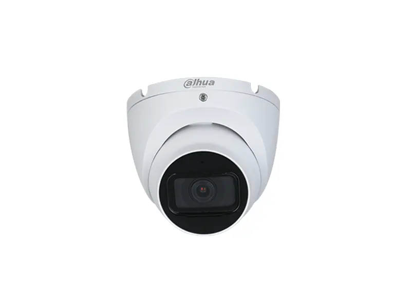 2 MP Starlight HDCVI Fixed IR Eyeball Camera